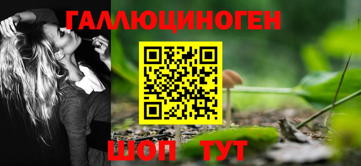 Галлюциногенные грибы Psilocybine cubensis  Вход с VPN  Псилоцибиновые грибы Cubensis  Ржев 