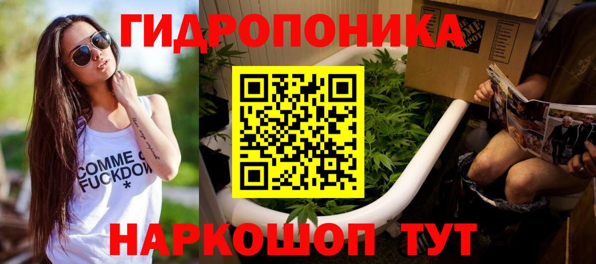 Конопля конопля Ржев